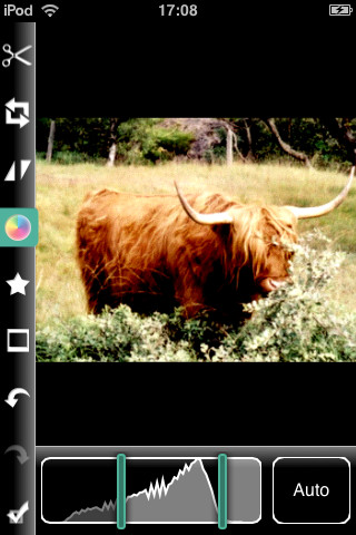 Photogene