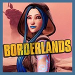 ☢️Borderlands 3 + Borderlands 2🛡️Steam account🛡️☢️ - irongamers.ru