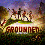 RU/CIS ☑️⭐Grounded STEAM 💳 0% bank cards - irongamers.ru