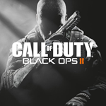 Все регионы☑️⭐Call of Duty: Black Ops 2 STEAM