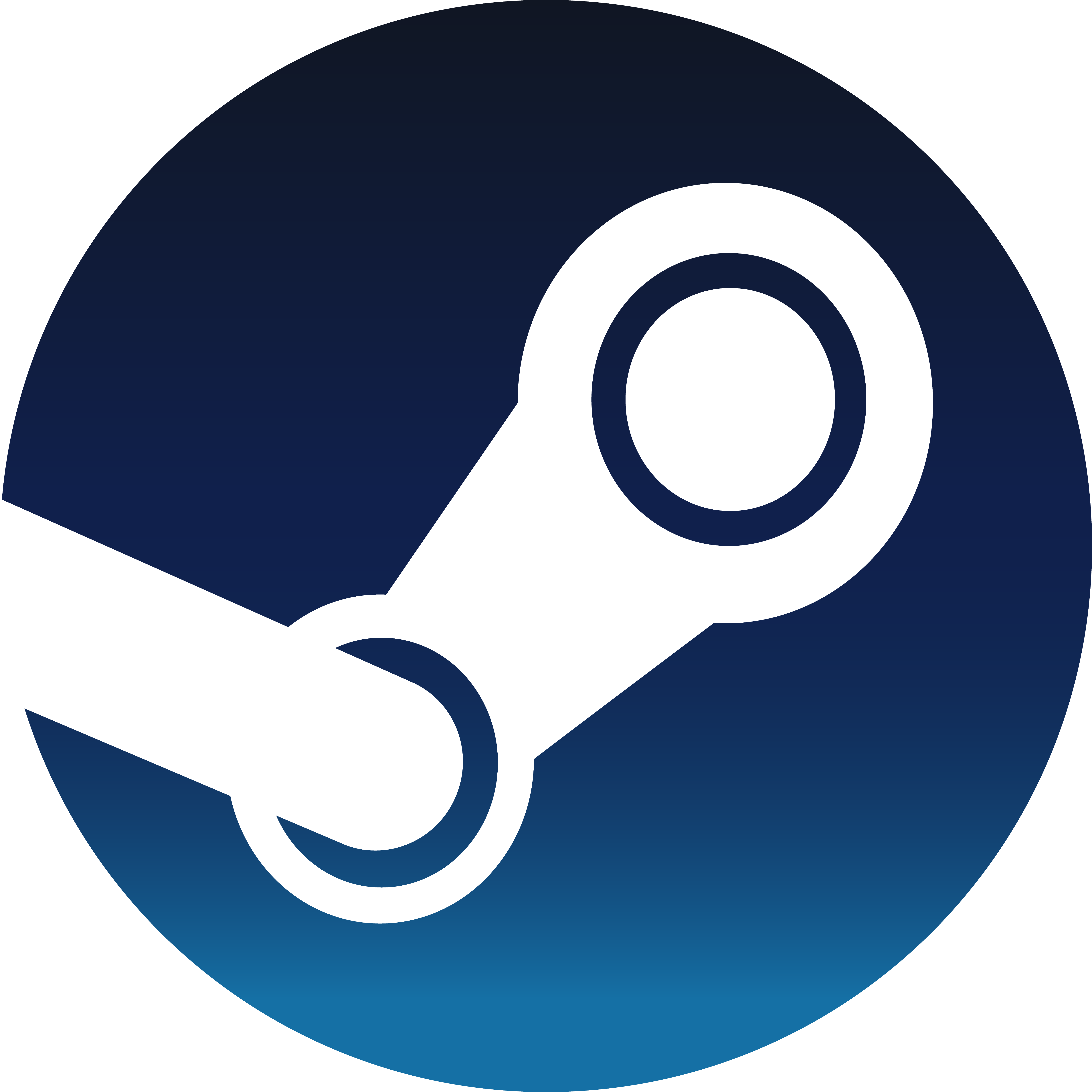 Electronic acc steam фото 1