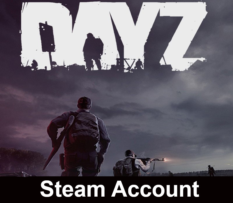 DayZ PC Steam Account photo 1