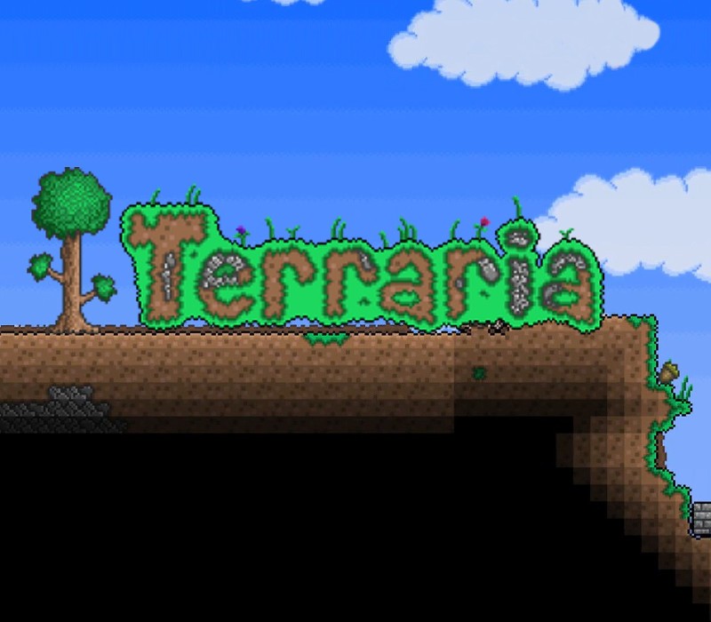 Terraria EU PC Steam Gift photo 1