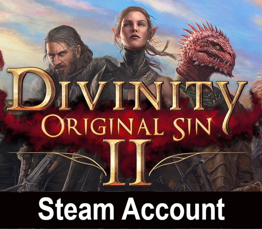 Divinity: Original Sin 2 Steam Account photo 1