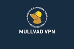 🌐 Mullvad VPN - 6 / 12 Месяцев - Код пополнения - АВТО
