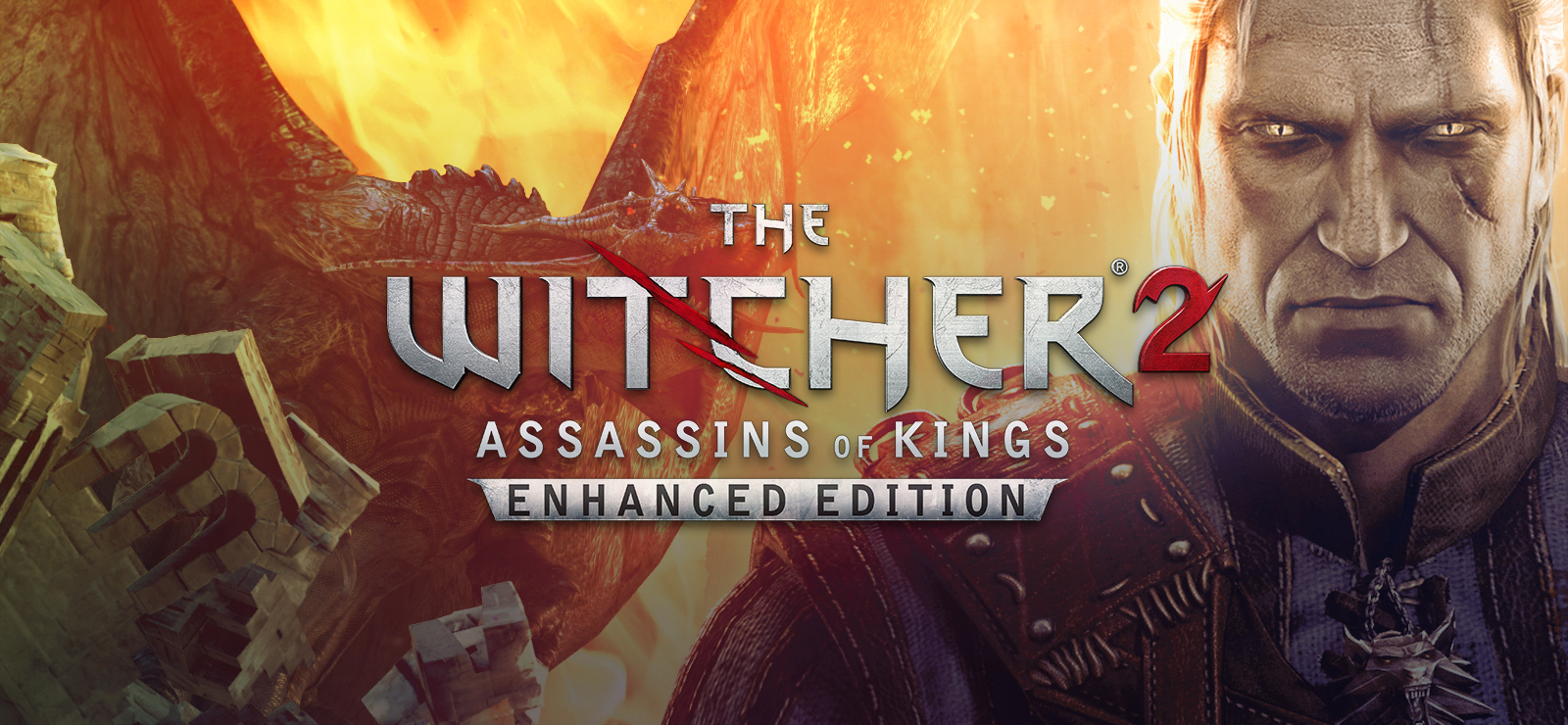 The witcher 2 assassins of kings стим фото 3