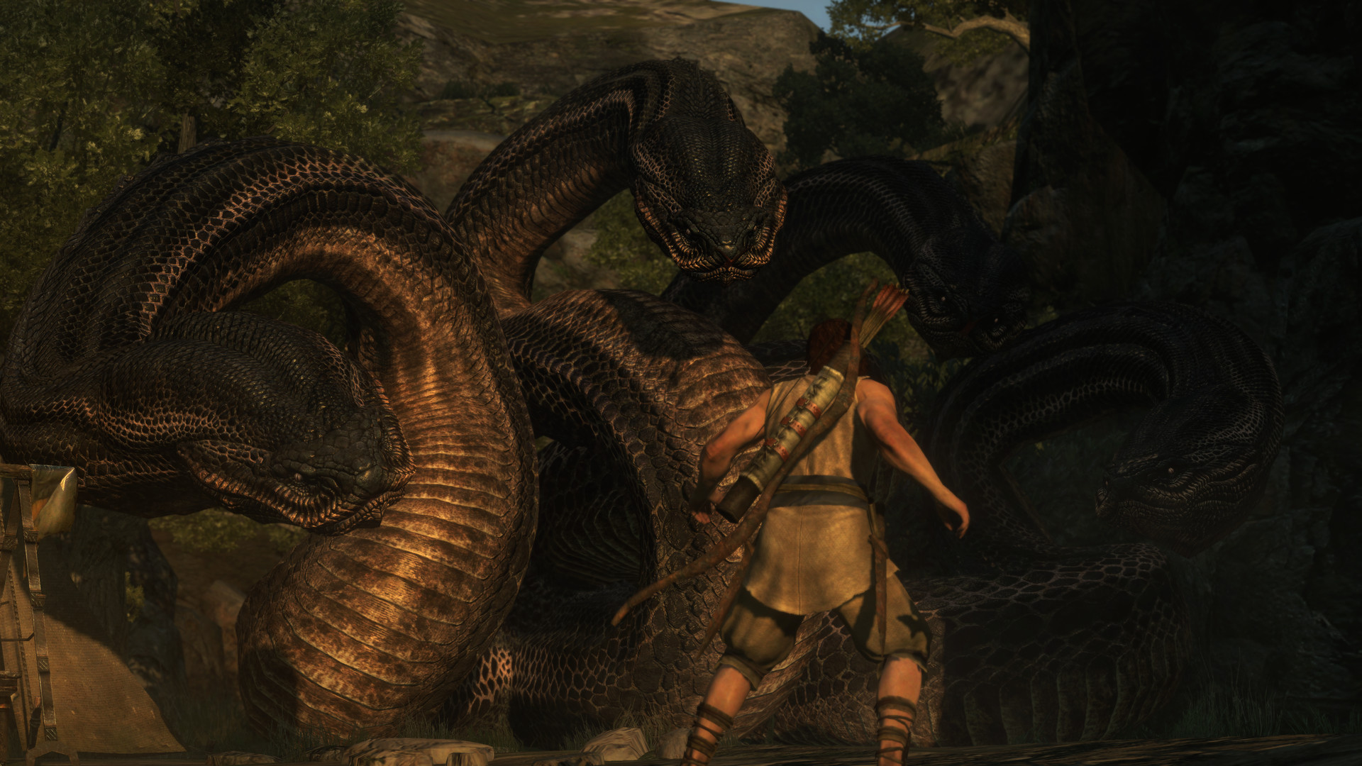 Dragons dogma 1. Dragon s Dogma Dark Arisen. Dragon s Dogma Dark Arisen 2016. Драгонс Догма дарк аризен. Dragon's Dogma Dark Arisen Григорий.