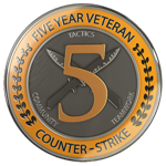 ✅CS2 + Steam 2003/4 года. Медаль «5 и 10 лет выслуги» ✅