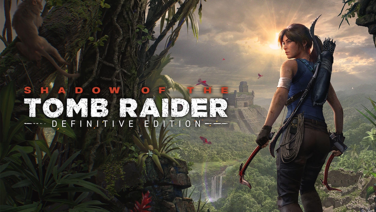 Tomb Raider: Definitive Edition