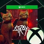STRAY Xbox One & Series X|S АРЕНДА ✅ - irongamers.ru