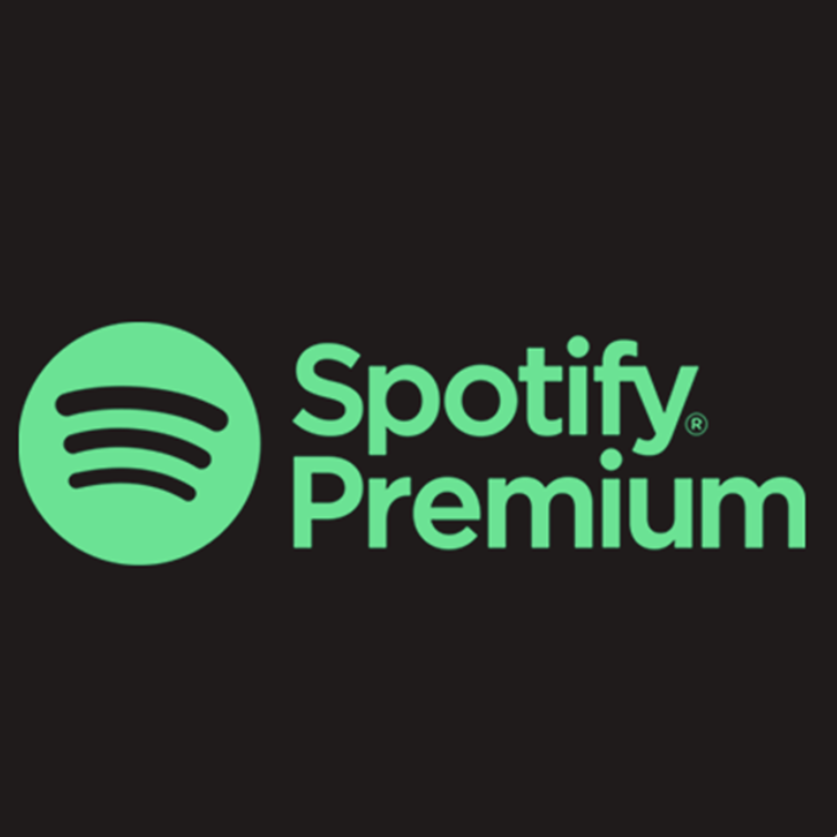 Подписка спотифай айфон. Spotify Premium. Spotify Premium индивидуальная подписка. Spotify Premium 3 month. Спотифай обложка