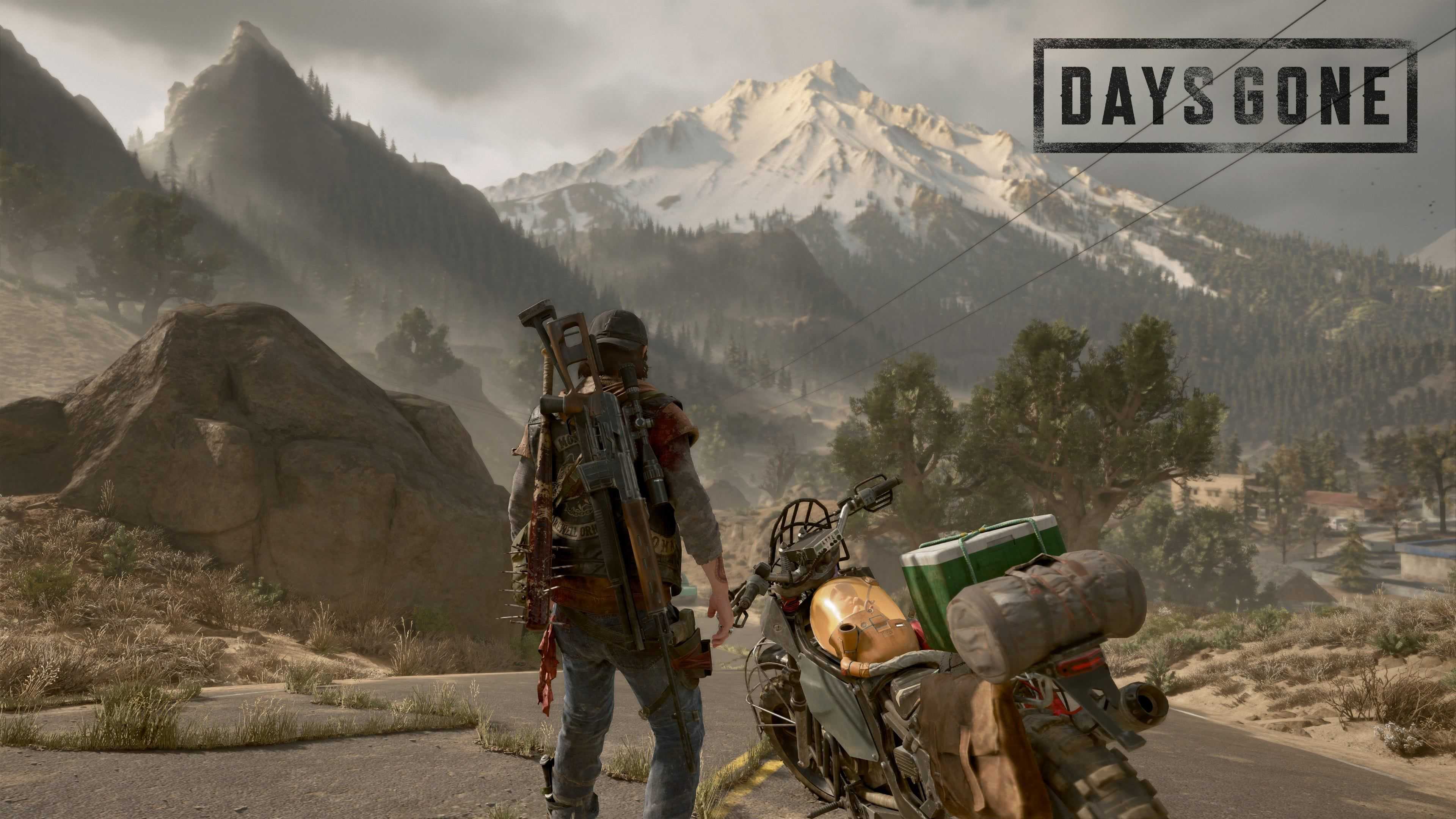 Days gone steam статистика фото 5