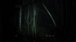 * Backrooms Media * Steam Gift РФ + другие * АВТО