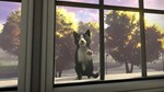 * Copycat * Steam Gift РФ + другие * Автодоставка