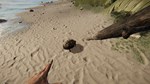 * Project Castaway * Steam Gift РФ + другие * АВТО