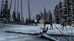 * DayZ Frostline * Steam Gift РФ + другие * АВТО