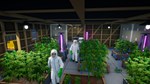 * Drug Lord Tycoon * Steam Gift РФ + другие * АВТО