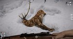 * Short Snow * Steam Gift РФ + другие * Автодоставка