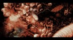 * Anoxia Station * Steam Gift РФ + другие * АВТО