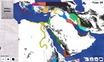 * Doodle Empires * Steam Gift РФ + другие * АВТО