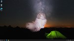 * Get a cat * Steam Gift РФ + другие * Автодоставка