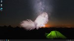 * Get a cat * Steam Gift РФ + другие * Автодоставка