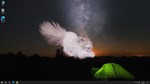 * Get a cat * Steam Gift РФ + другие * Автодоставка