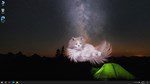 * Get a cat * Steam Gift РФ + другие * Автодоставка