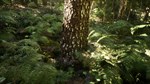 * NextVisuals Benchmark Forest * Steam Gift АВТО