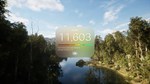 * NextVisuals Benchmark Forest * Steam Gift АВТО