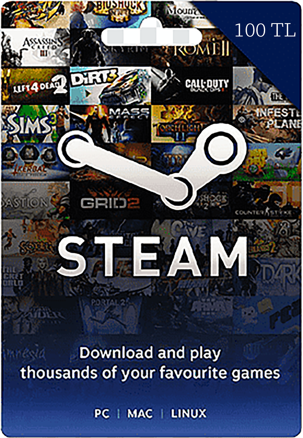 100 tl steam фото 65