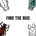 Find the Bug PS5