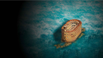 Fort Boyard PS4 & PS5