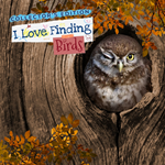 I Love Finding Birds Collector´s Edition PS5