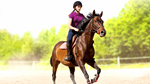 My Little Riding Champion PS4 & PS5