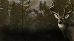 Pro Deer Hunting PS4 & PS5