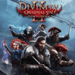 💚 Divinity: Original Sin 2 🎁 STEAM/СТИМ 💚ТУРЦИЯ | ПК - irongamers.ru