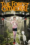 *The Forest Cathedral *XBOX *Быстрая доставка