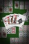 *THE CARD Perfect Collection Plus: Texas Hold ´em, Sol