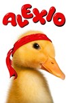 *Alexio *XBOX *Быстрая доставка