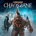 *Warhammer Chaosbane | PS4/PS5 Турция*