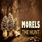 **Morels: The Hunt 2 | ПК Epic Games EGS**