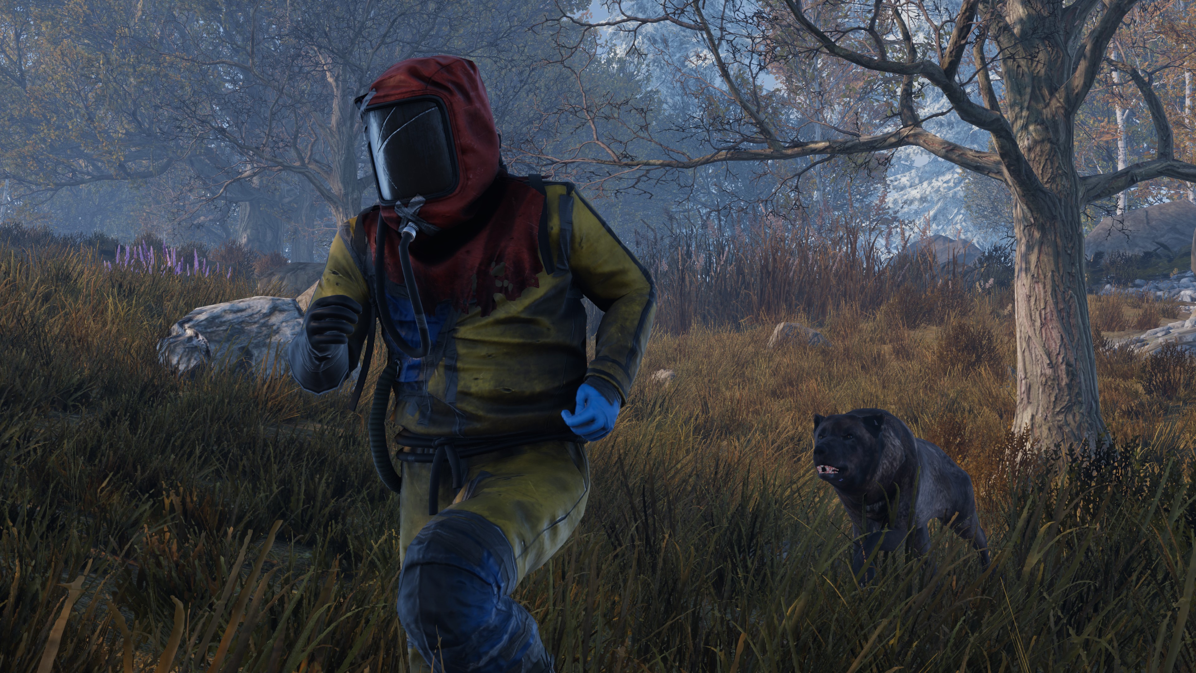 Rust консоль. Rust Console Edition Xbox. Rust Console Edition ps4. Rust Xbox one. Rust на Xbox Series s.