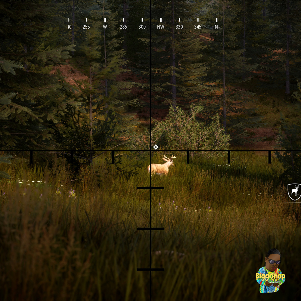 Hunting 2