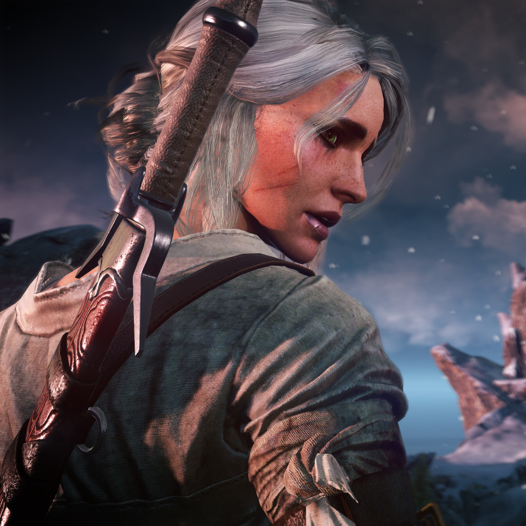 Witcher 3 the wolven storm фото 100