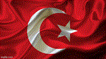 НОВЫЙ ТУРЕЦКИЙ PSN | ПСН АККАУНТ (Регион: Турция)