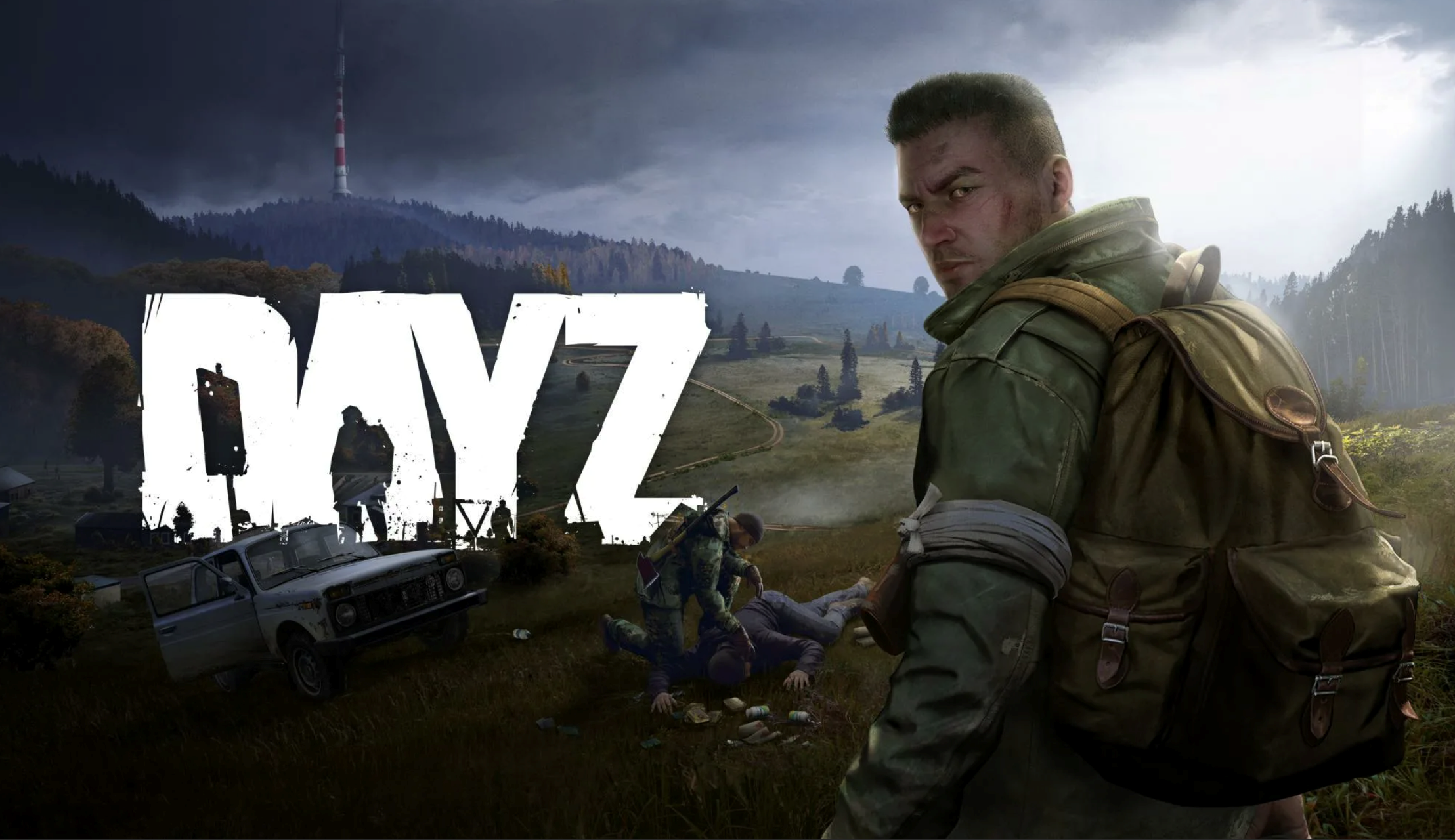 Игра обзоров канал. Day z игра. DAYZ Standalone. DAYZ обложка игры. DAYZ стрим.