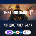 The Long Dark 🚀🔥STEAM GIFT RU АВТОДОСТАВКА
