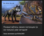 Elders scrolls online набор &quot;убийца драконов №2&quot; XBOX - irongamers.ru