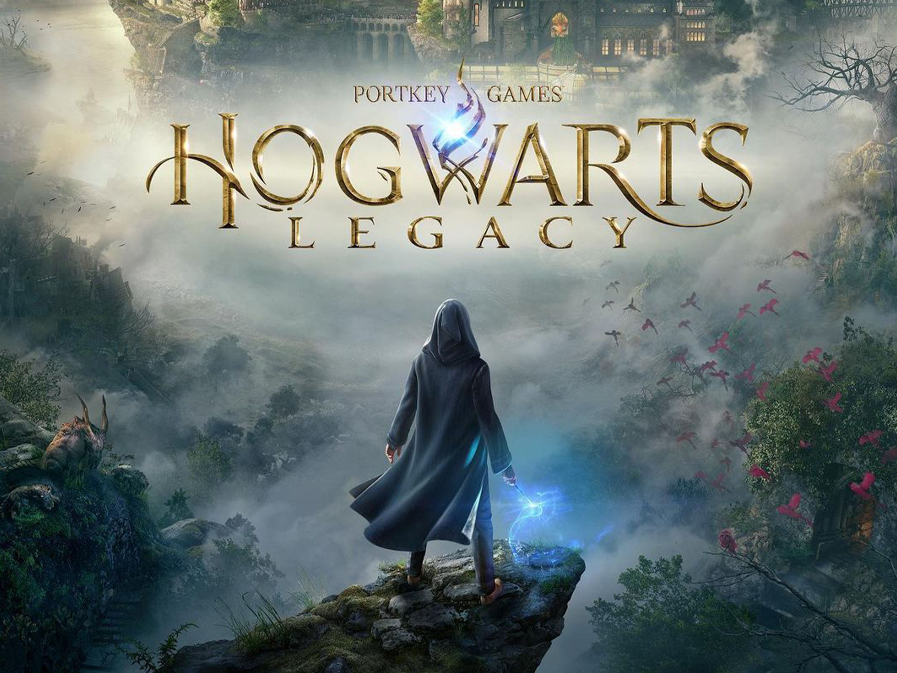 Hogwarts legacy картинки